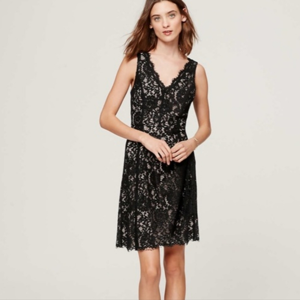 Loft Black and Nude Lace A-line V-neck Dress size 4